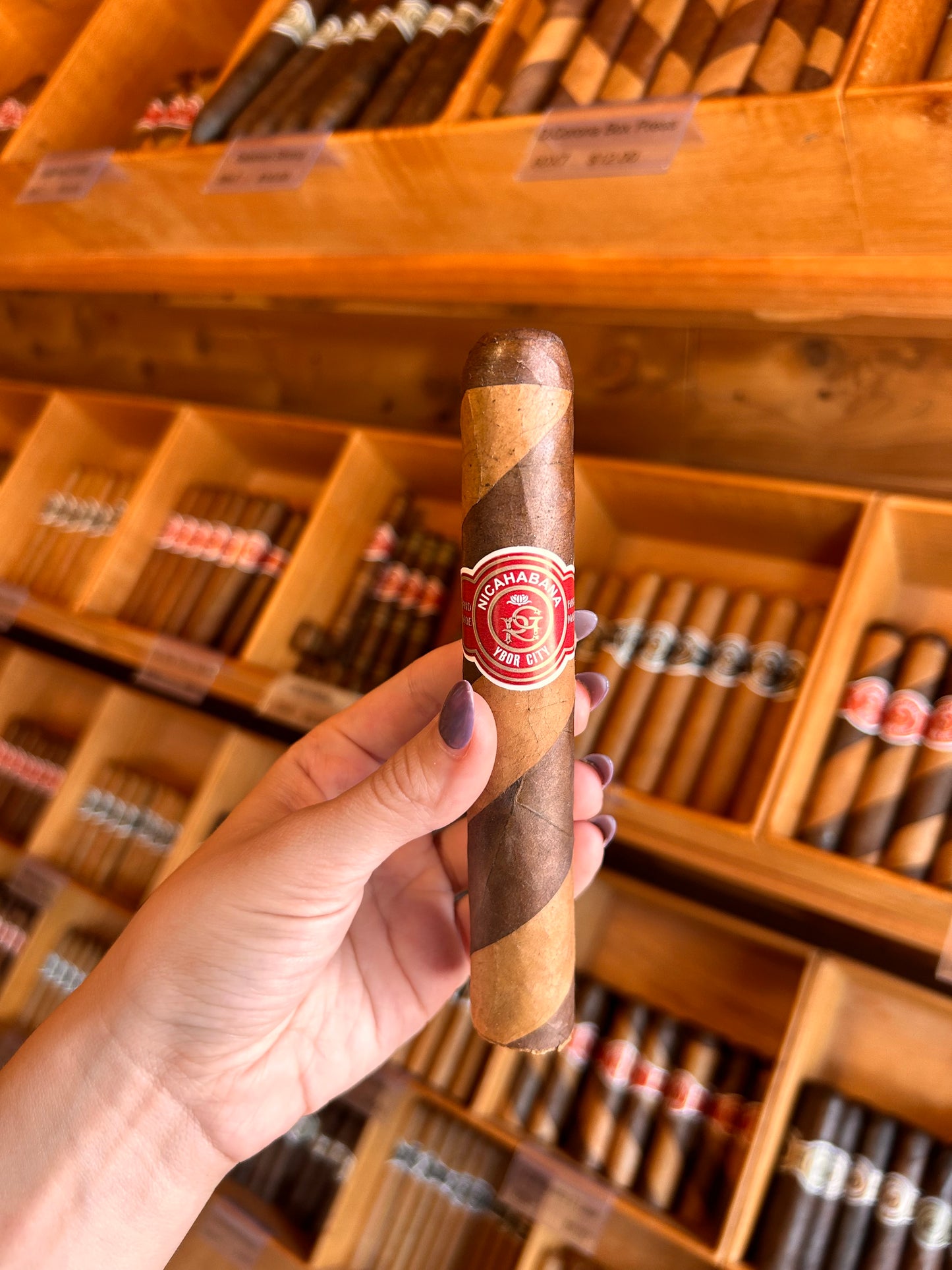 Double Toro 60x6