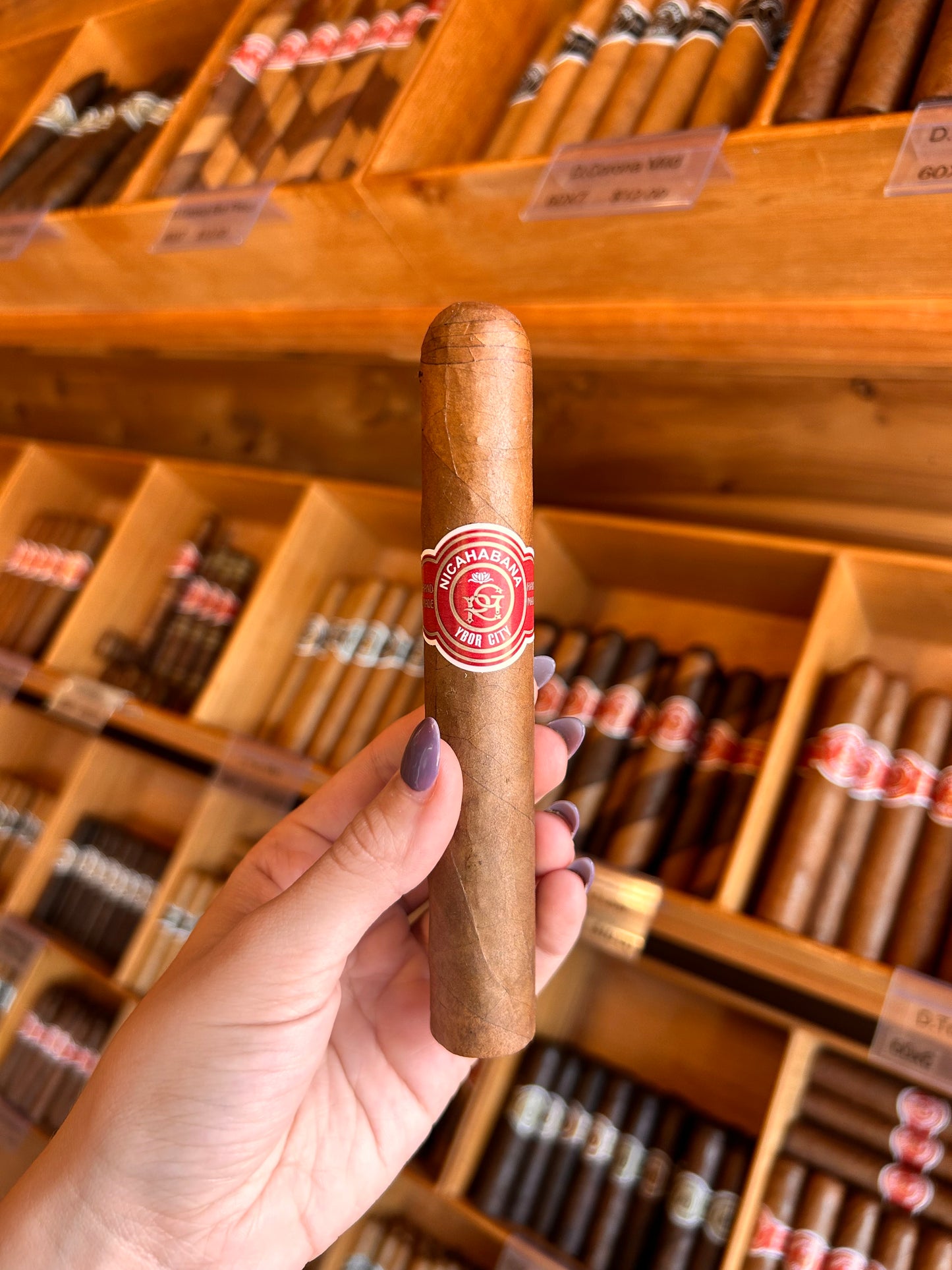 Double Toro 60x6