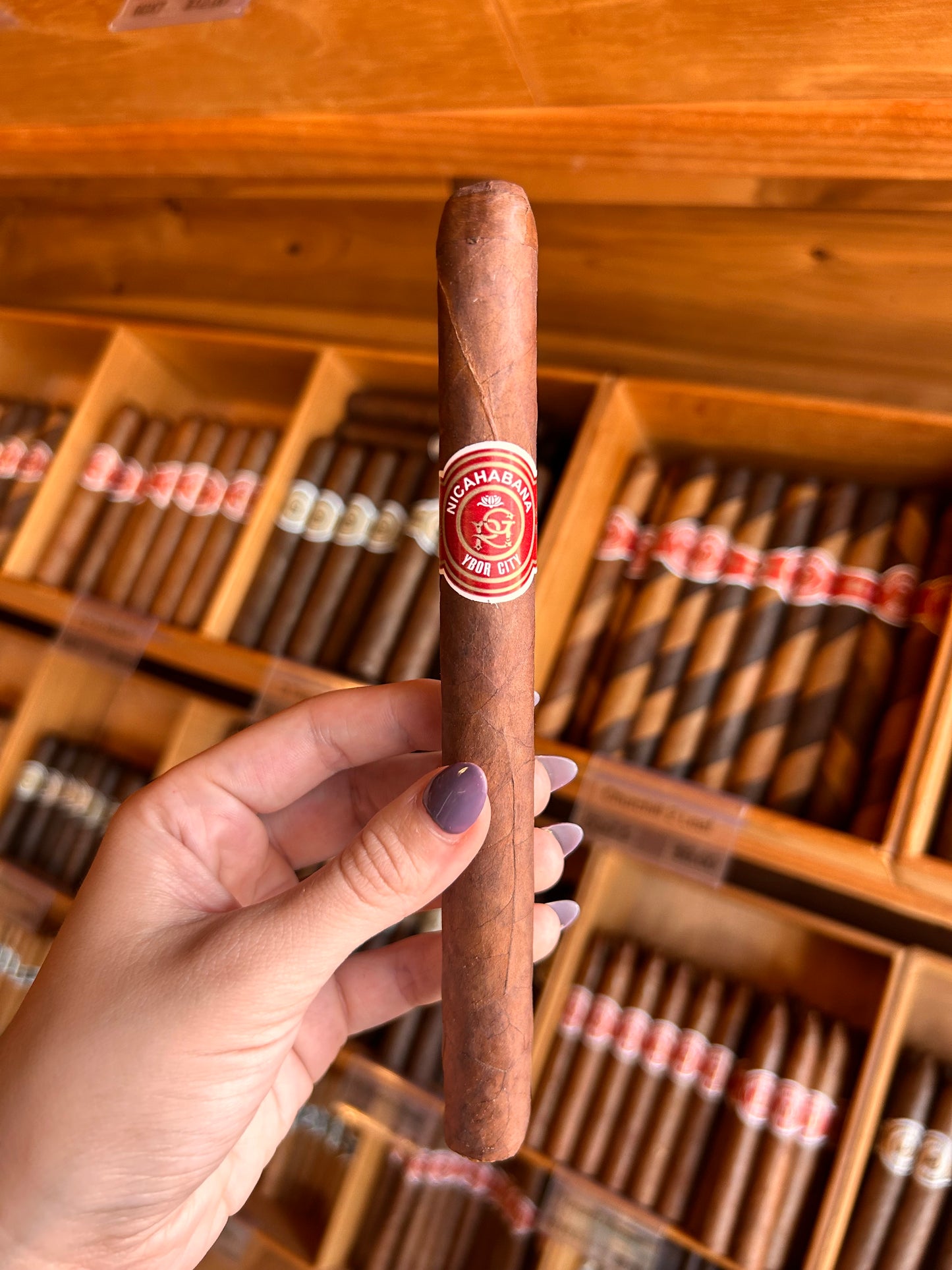 Churchill 50x7