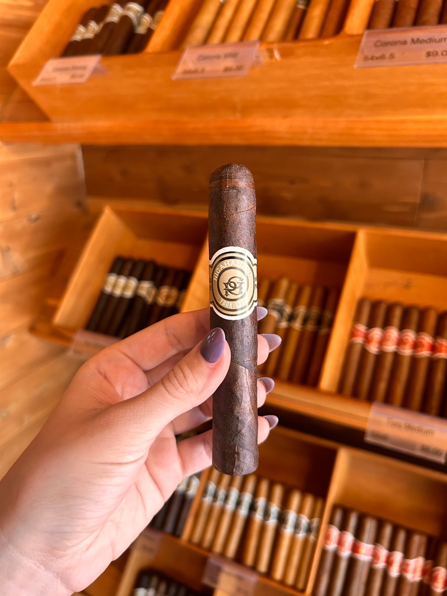 Robusto 52x5