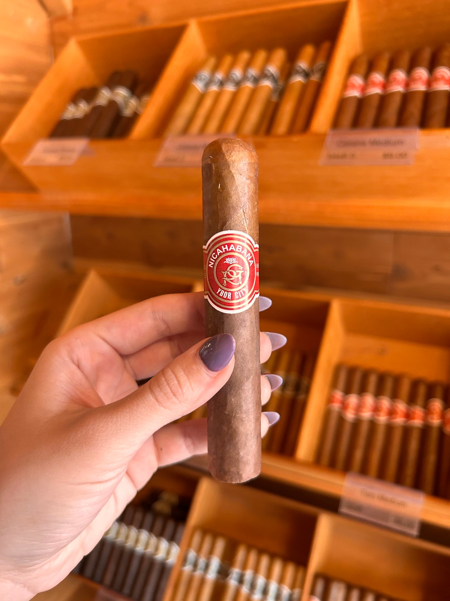 Robusto 52x5