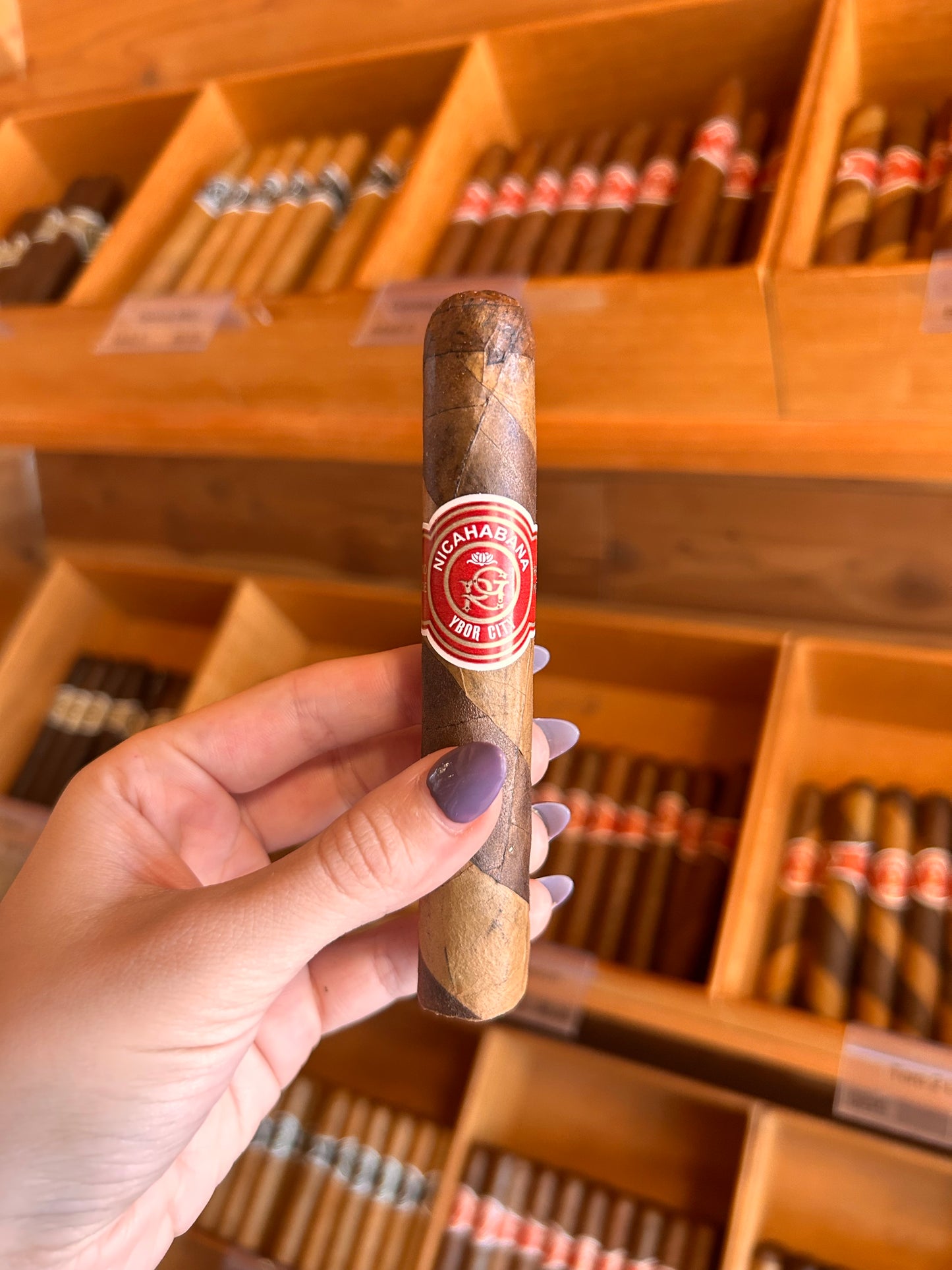 Robusto 52x5