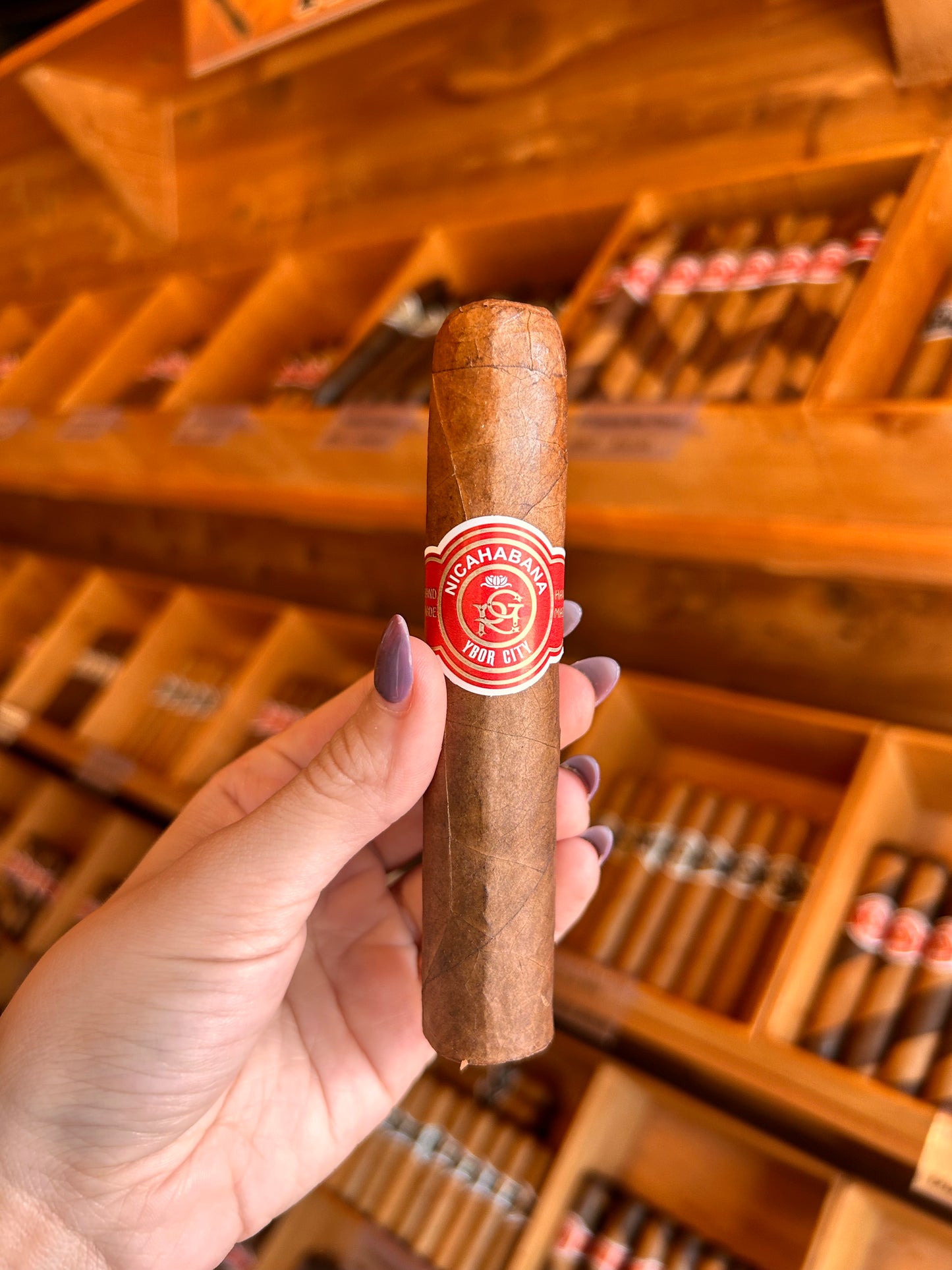 Double Robusto 56x5
