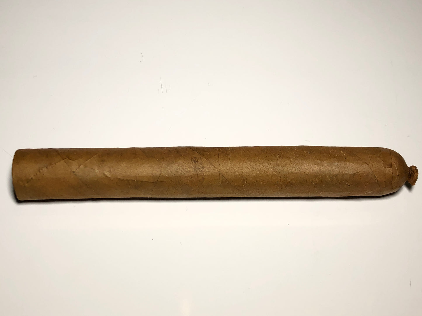 Aleta
